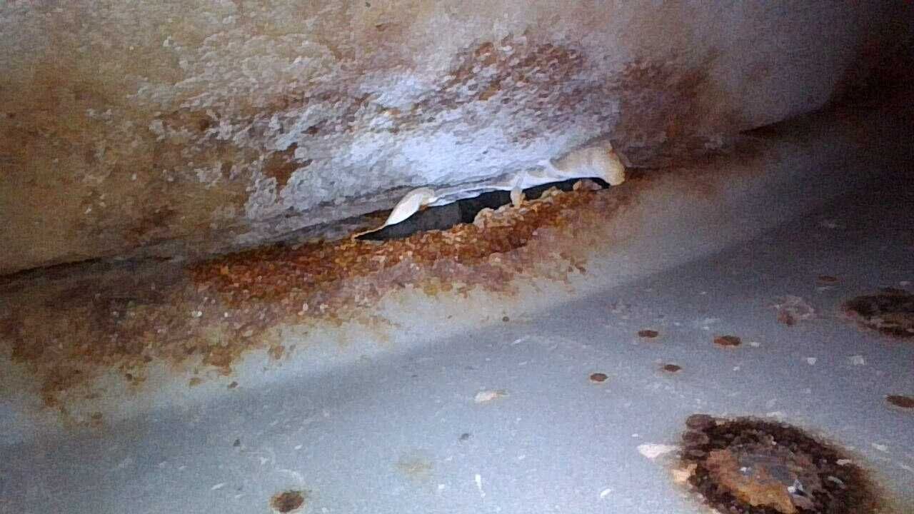 Нарушение герметика