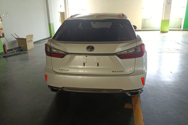 雷克萨斯RX 2016款 300 四驱典雅版 国V车身外观6004