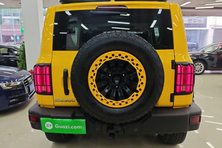 坦克300 2022款 2.0T 边境限定版车身外观6004