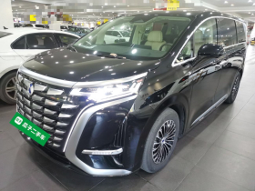 腾势D9 2024款 DM-i 980 四驱旗舰型