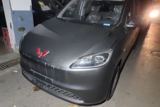 五菱汽车 五菱宏光新能源 2024款 纯电版 300KM 实用型