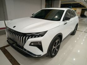 东风风神 皓极 2022款 马赫动力 1.5T 敢行版·智