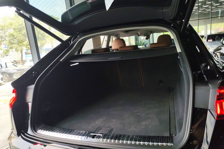 奥迪Q8 2023款 55 TFSI 豪华动感型局部细节23