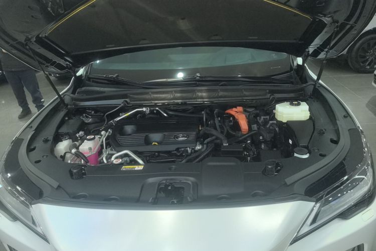 雷克萨斯RX新能源 2023款 450h+ 四驱畅享版机舱底盘24