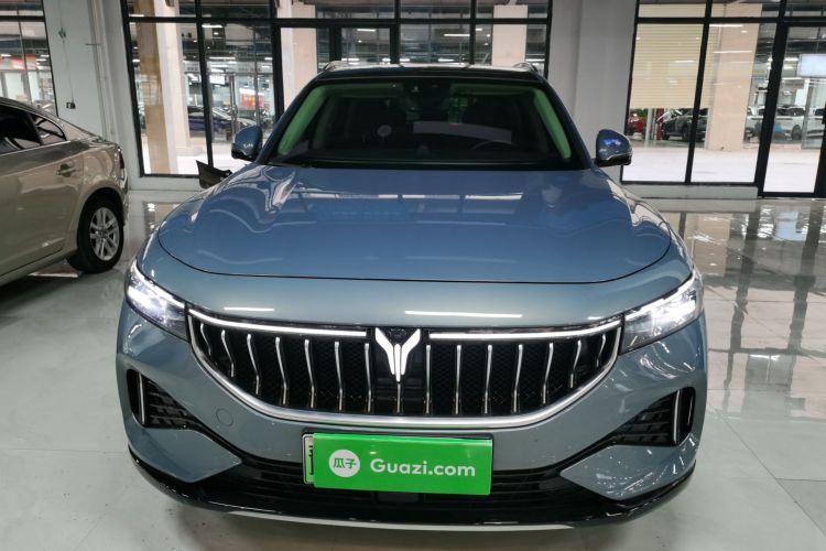 岚图汽车 岚图FREE 2021款 四驱标准增程专属豪华套装车身外观6001