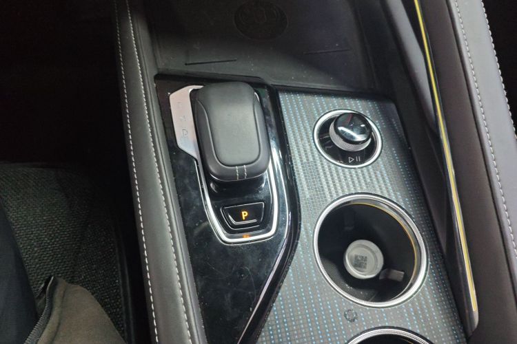 极氪001 2021款 超长续航单电机 WE版中控内饰18