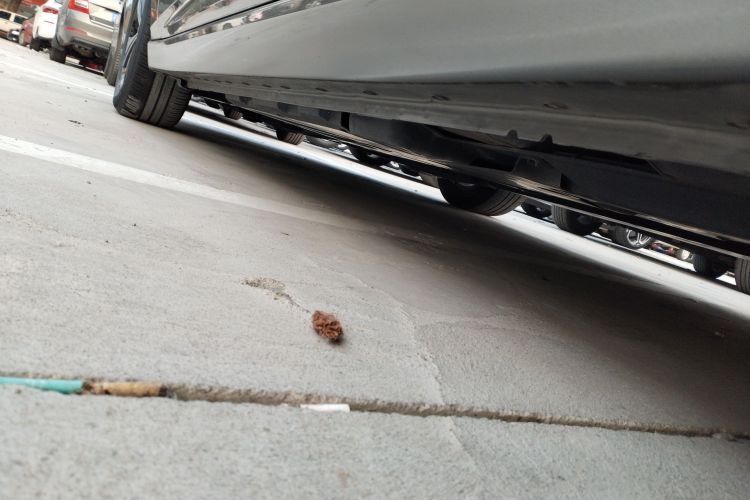 日产 轩逸 2021款 1.6L XL CVT悦享版局部细节9002