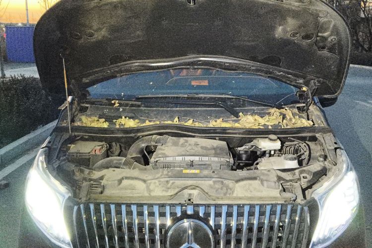 奔驰 威霆 2023款 2.0T 商务版 7座局部细节24