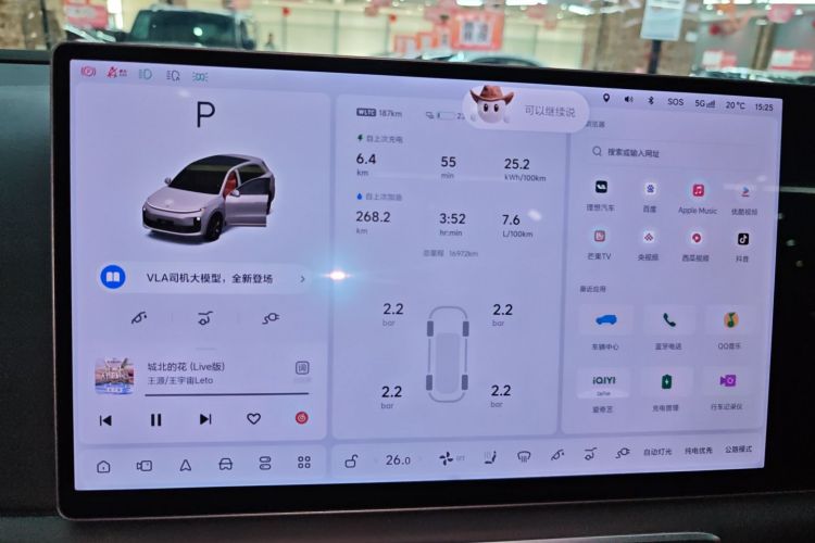 理想汽车 理想L6 2024款 Max局部细节14