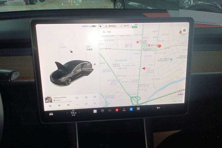 特斯拉 Model 3(进口) 2019款 长续航后驱版局部细节16