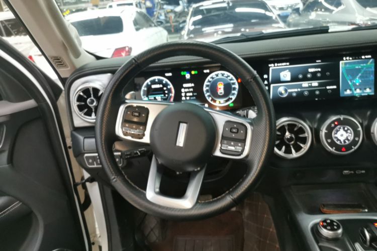 坦克300 2021款 越野版 2.0T 挑战者局部细节13