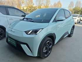 比亚迪 海鸥 2025款 305km 自由版