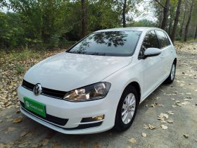 大众 高尔夫 2016款 1.6L 自动时尚型