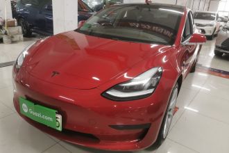 特斯拉 Model 3 2019款 标准续航后驱升级版