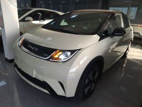 比亚迪 海豚 2023款 420km 时尚版