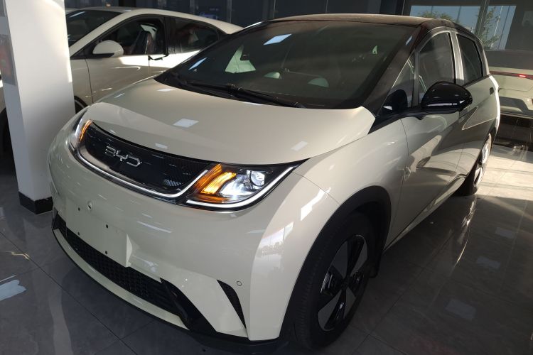 比亚迪 海豚 2023款 420km 时尚版车身外观1