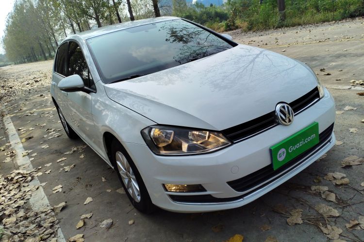 大众 高尔夫 2016款 1.6L 自动时尚型车身外观6002