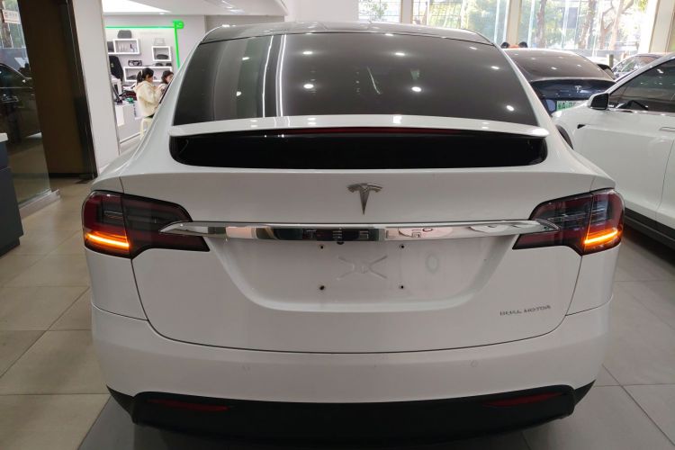 特斯拉 Model X 2019款 长续航版车身外观6