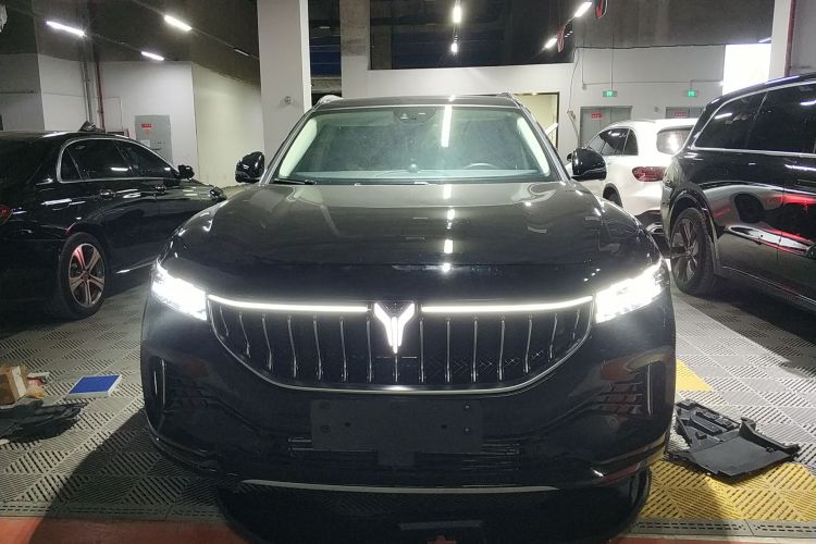 岚图汽车 岚图FREE 2021款 四驱标准增程专属豪华套装车身外观2