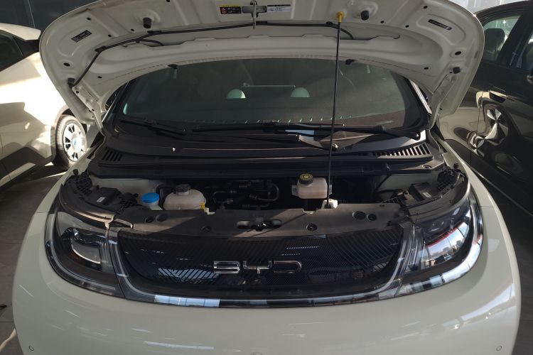 比亚迪 海豚 2023款 420km 时尚版机舱底盘24