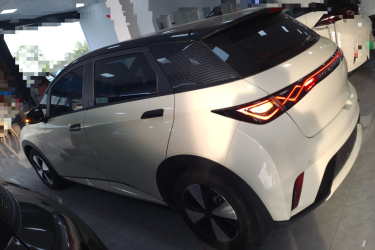 比亚迪 海豚 2023款 420km 时尚版车身外观4