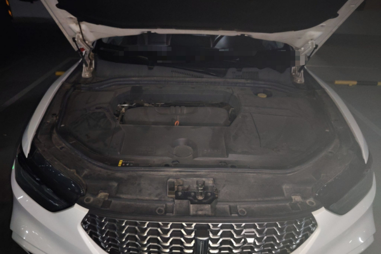 魏牌 VV5 2021款 1.5T 两驱智先锋局部细节24