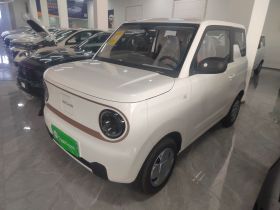 吉利银河 2024款 熊猫mini 200km 耐力熊