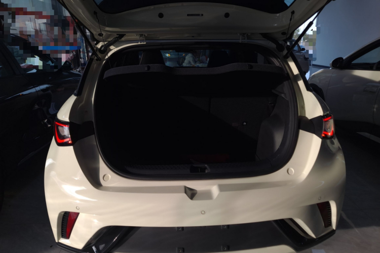 比亚迪 海豚 2023款 420km 时尚版机舱底盘23